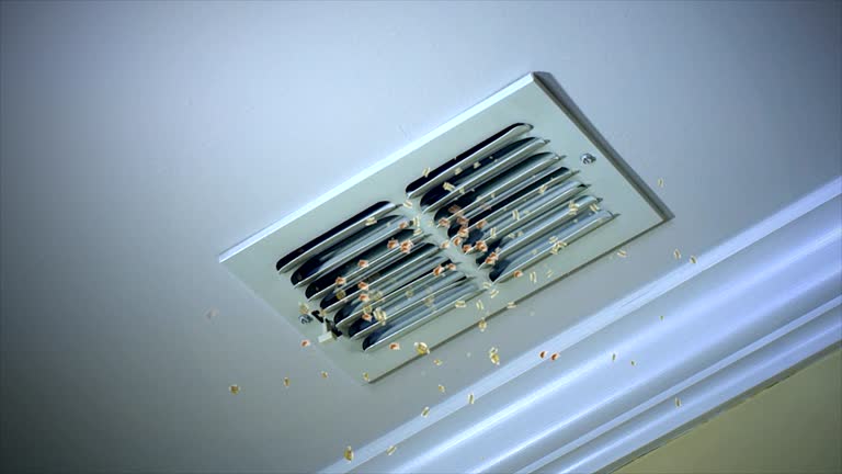 Best Best Air Duct Cleaning Company  in Franklinville, NJ